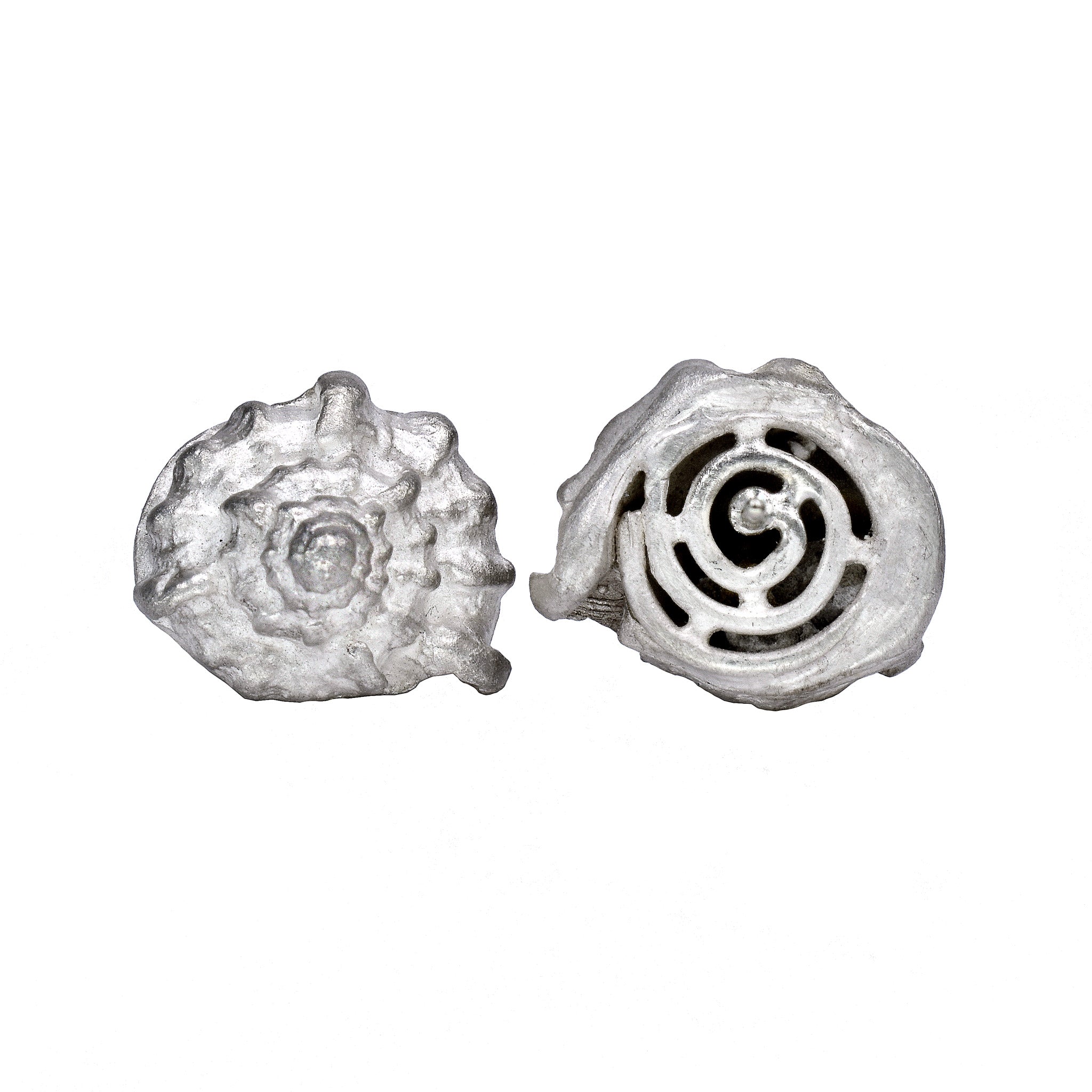 Seashell Earrings - Sterling Silver