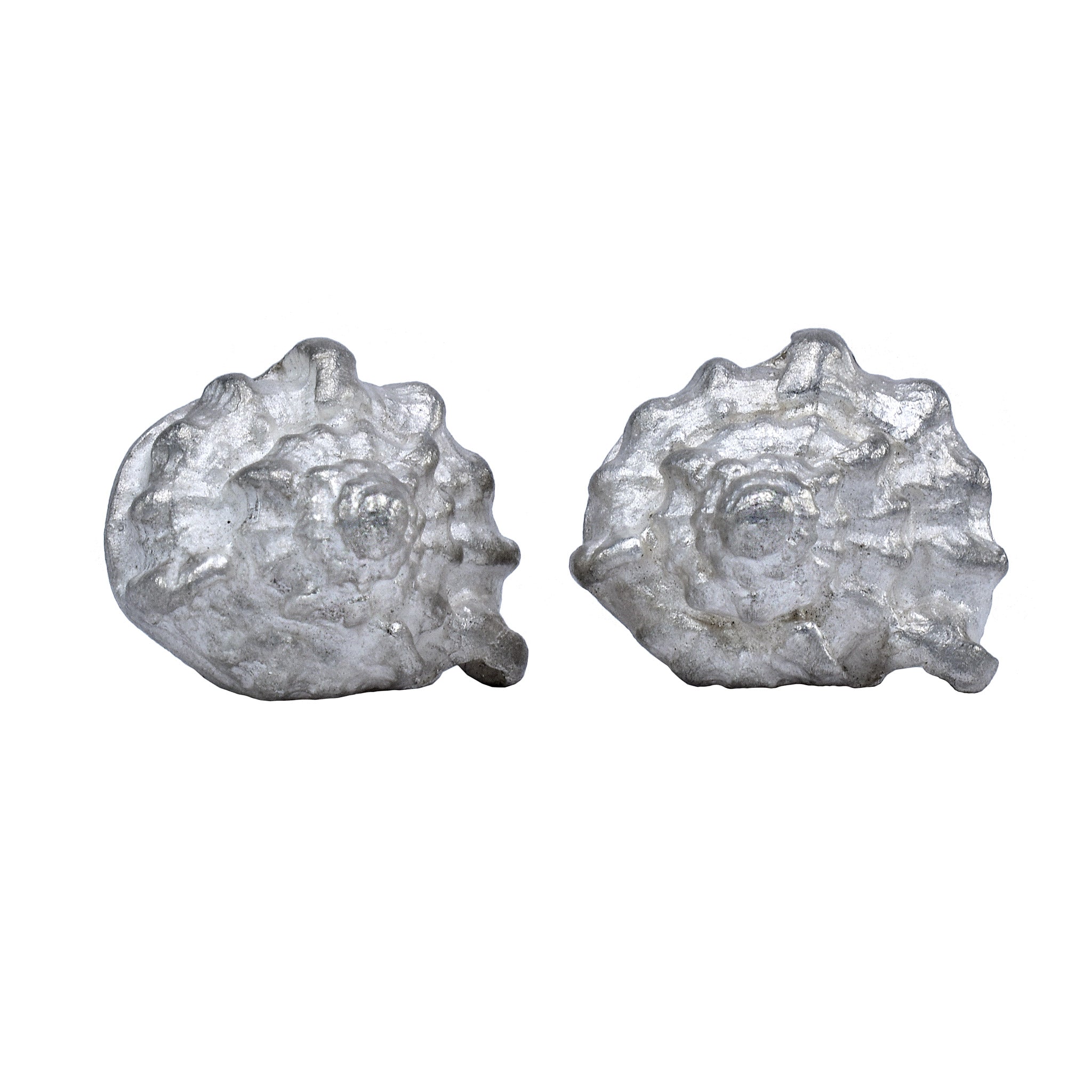 Seashell Earrings - Sterling Silver